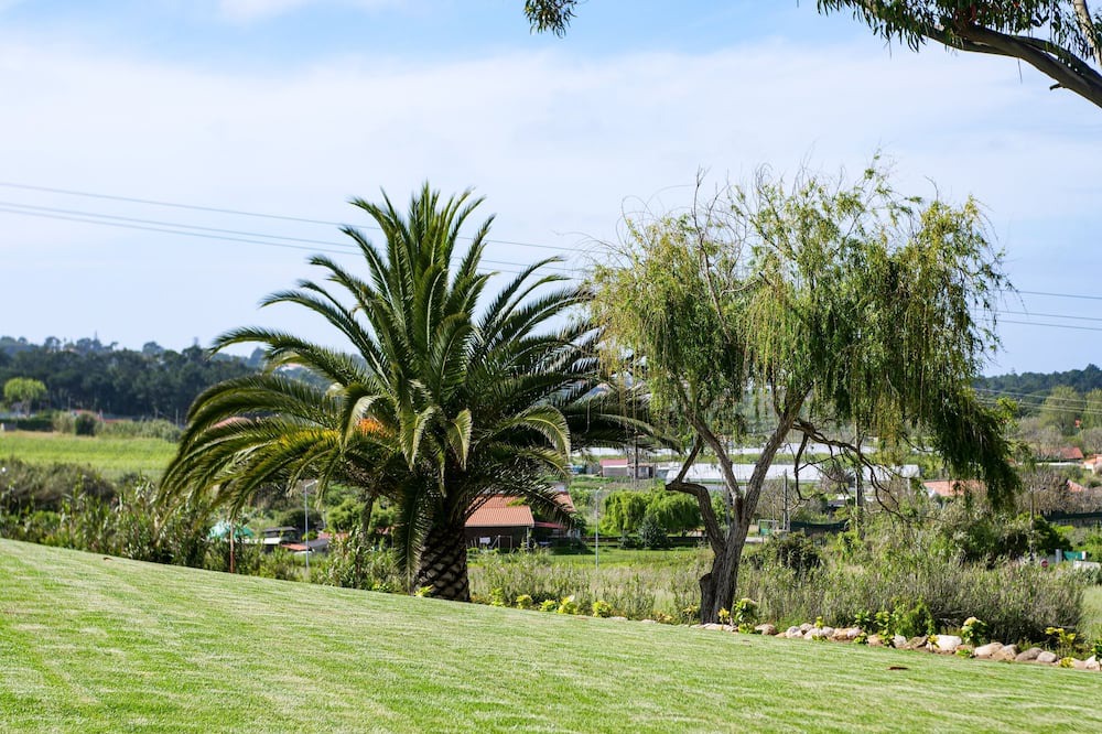 Photo of Outdoor in Banzao