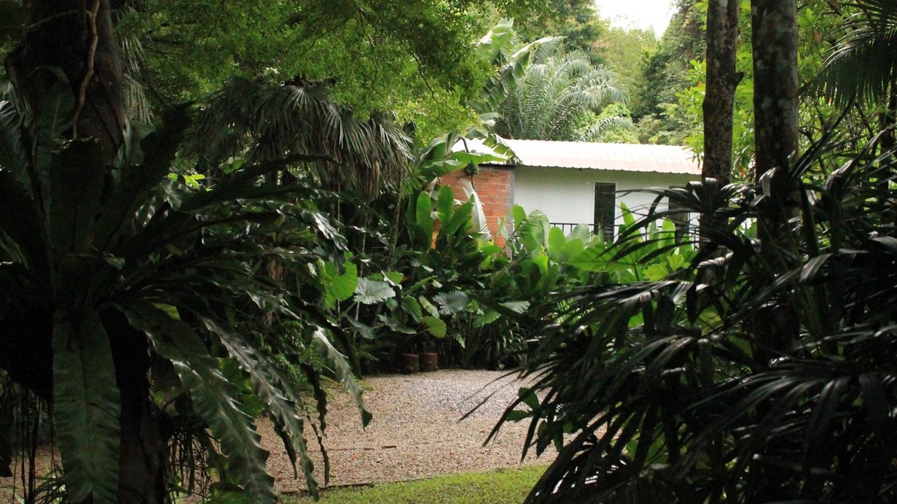 Photo of Outdoor in Khlong Sok