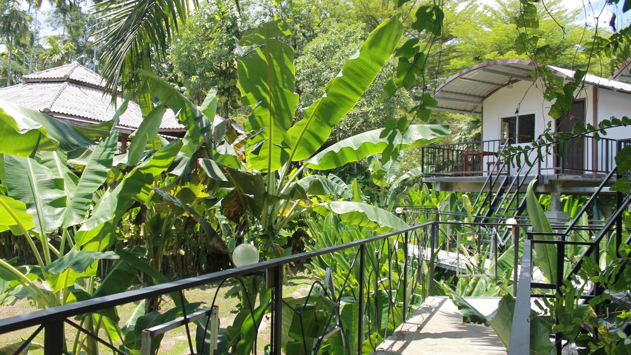 Photo of Outdoor in Khlong Sok