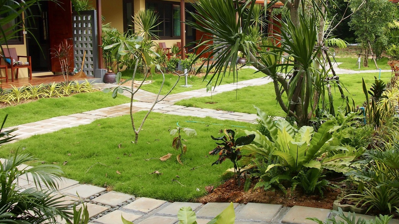 Photo of Outdoor in Takua Pa