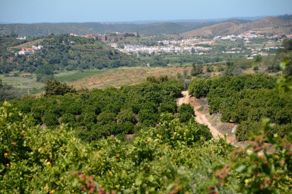 Photo of Outdoor in Silves