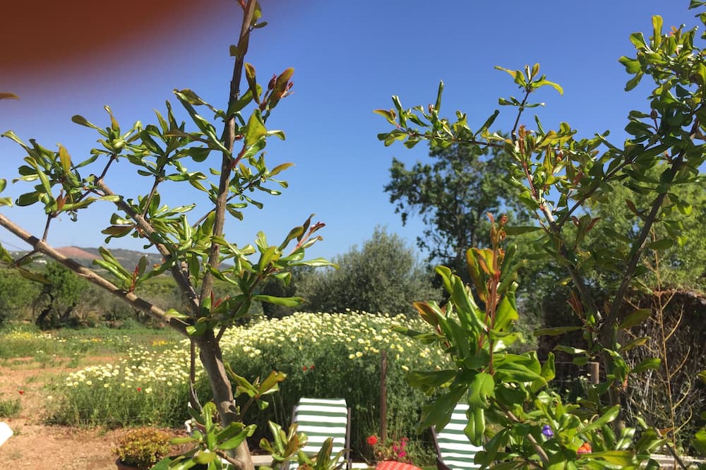 Photo of Outdoor in Ferrarias