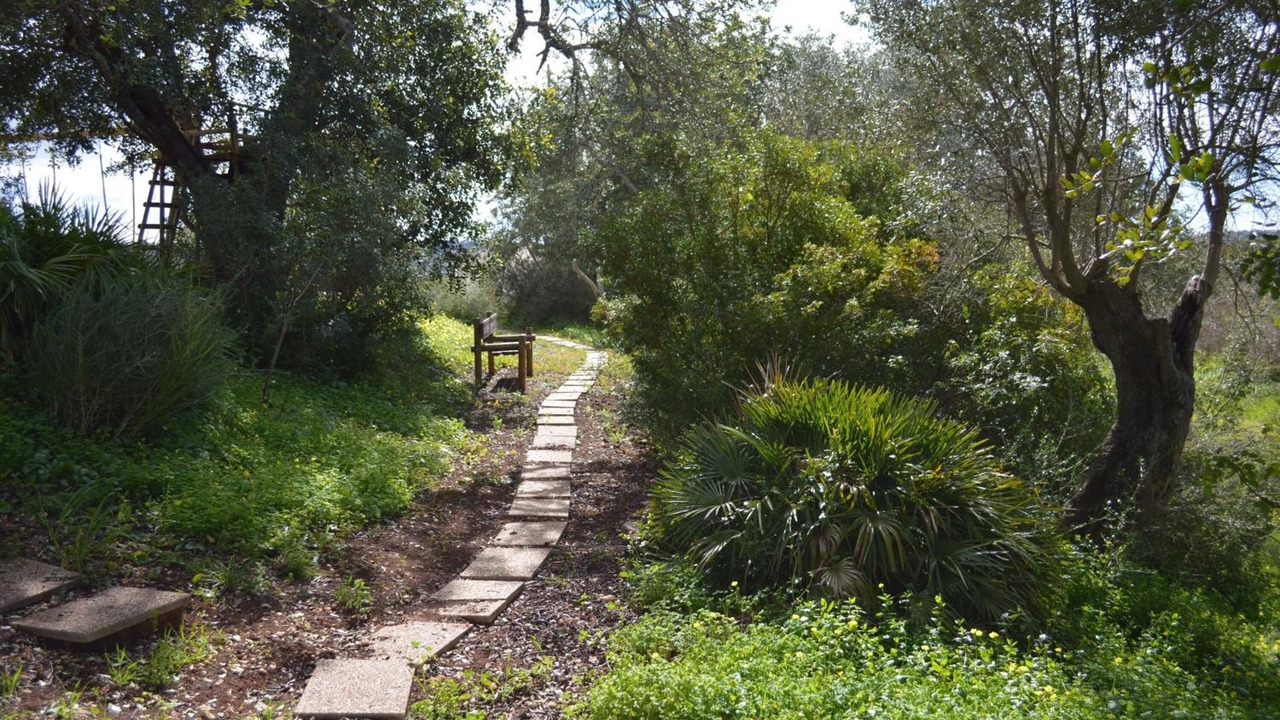 Photo of Outdoor in Silves