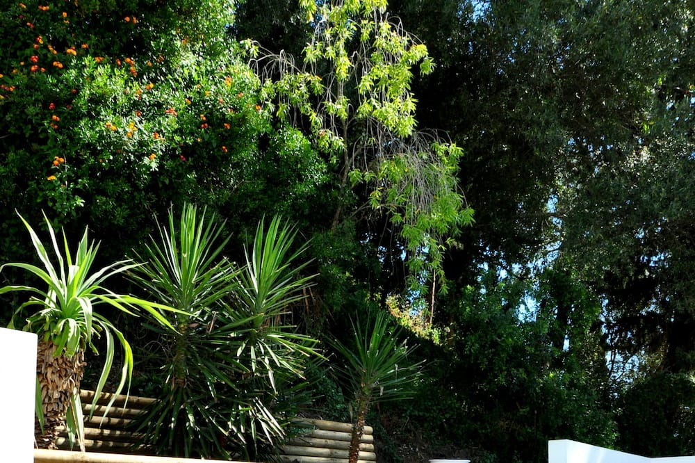 Photo of Outdoor in Guia