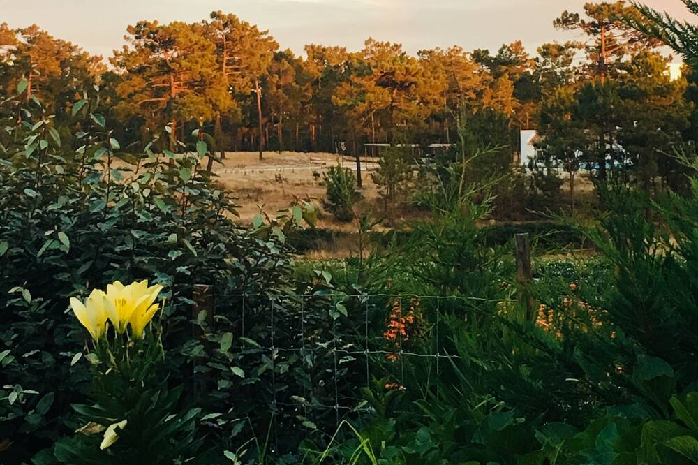 Photo of Outdoor in Carvalhal