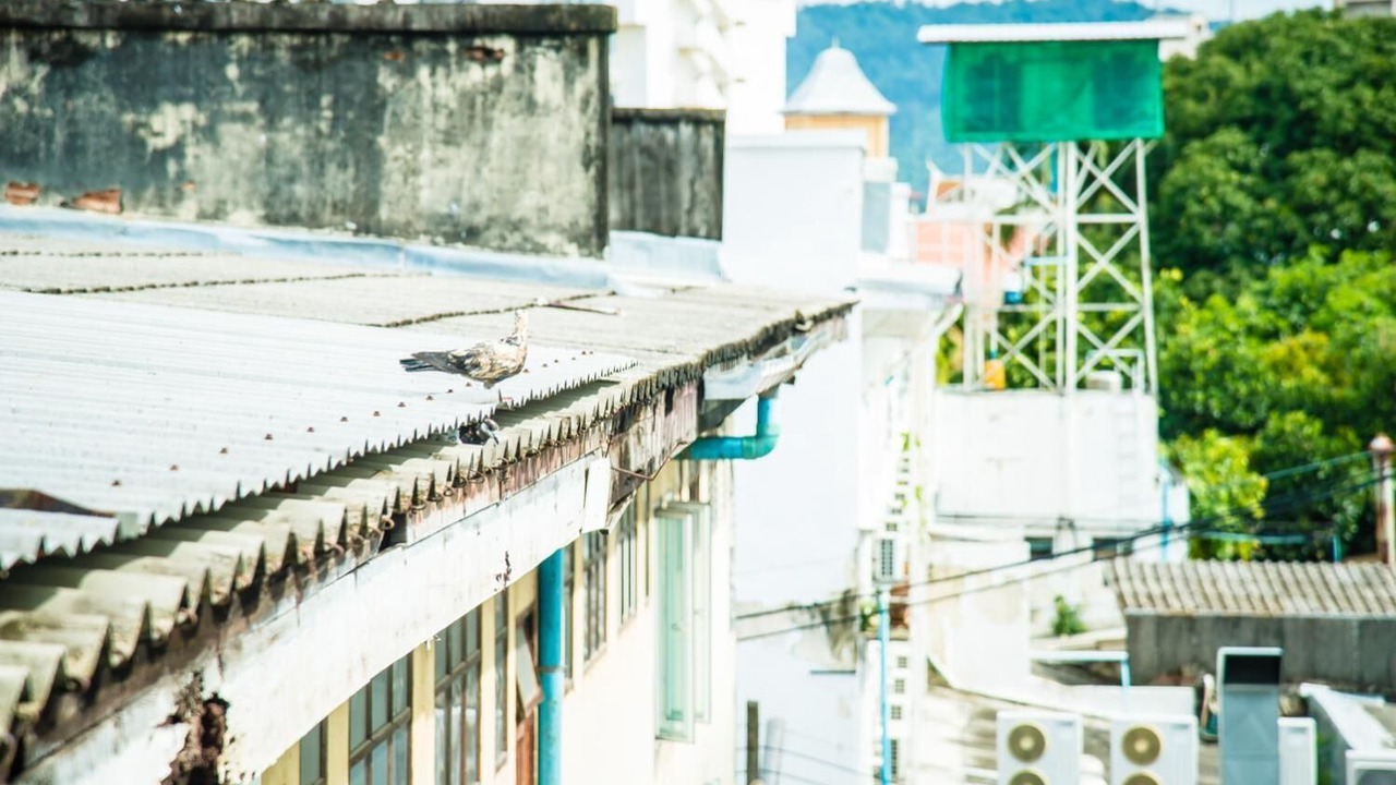 Photo of Outdoor in Talat Yai