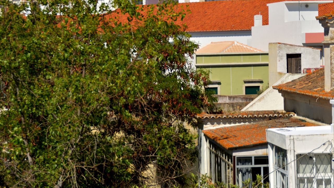 Photo of Others in Sao Pedro