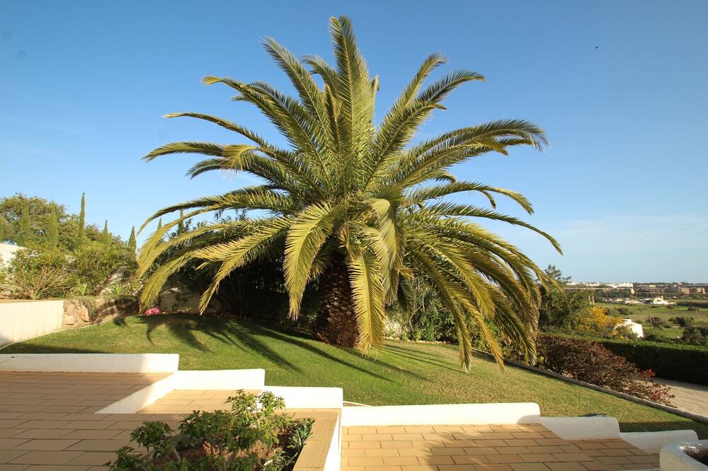 Photo of Outdoor in Vale de Parra