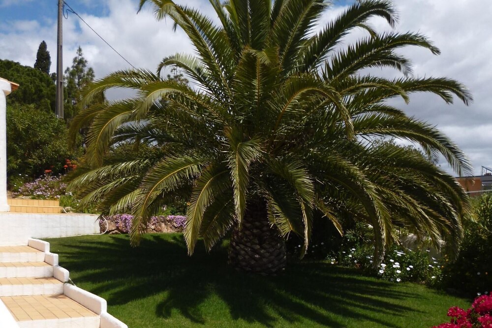 Photo of Outdoor in Vale de Parra