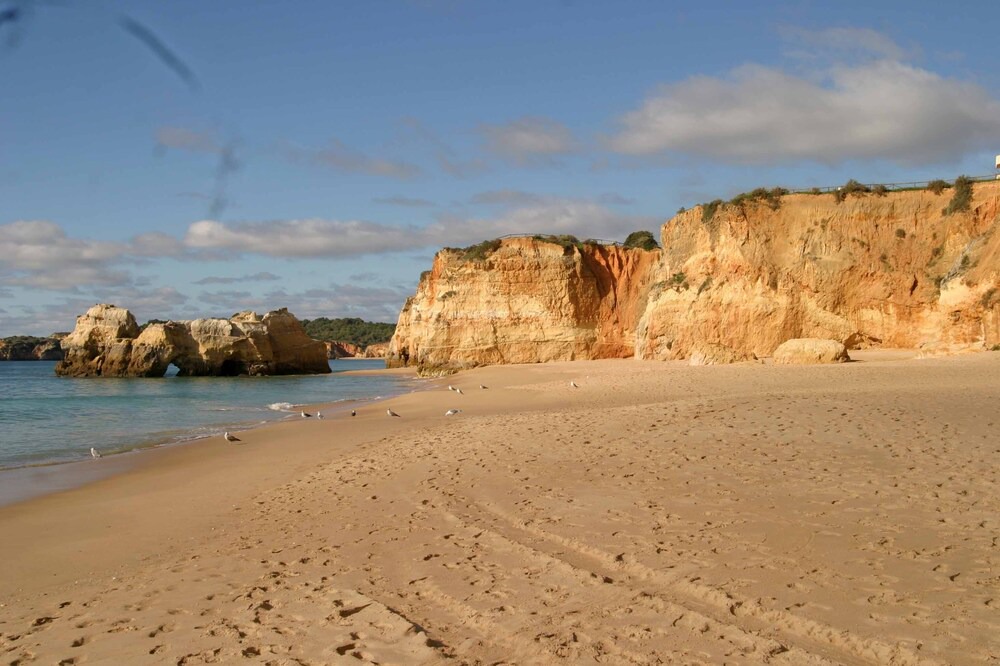 Photo of Others in Prainha