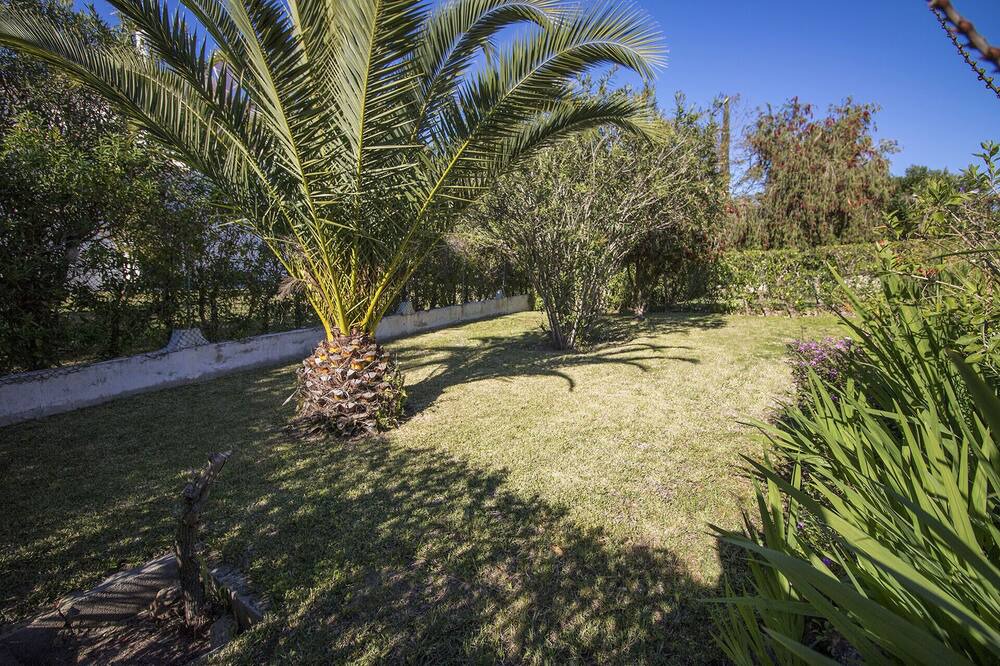 Photo of Outdoor in Quarteira