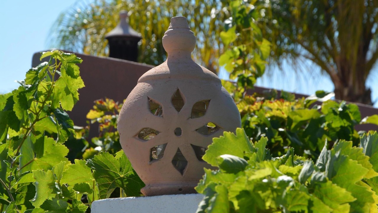 Photo of Outdoor in Faro