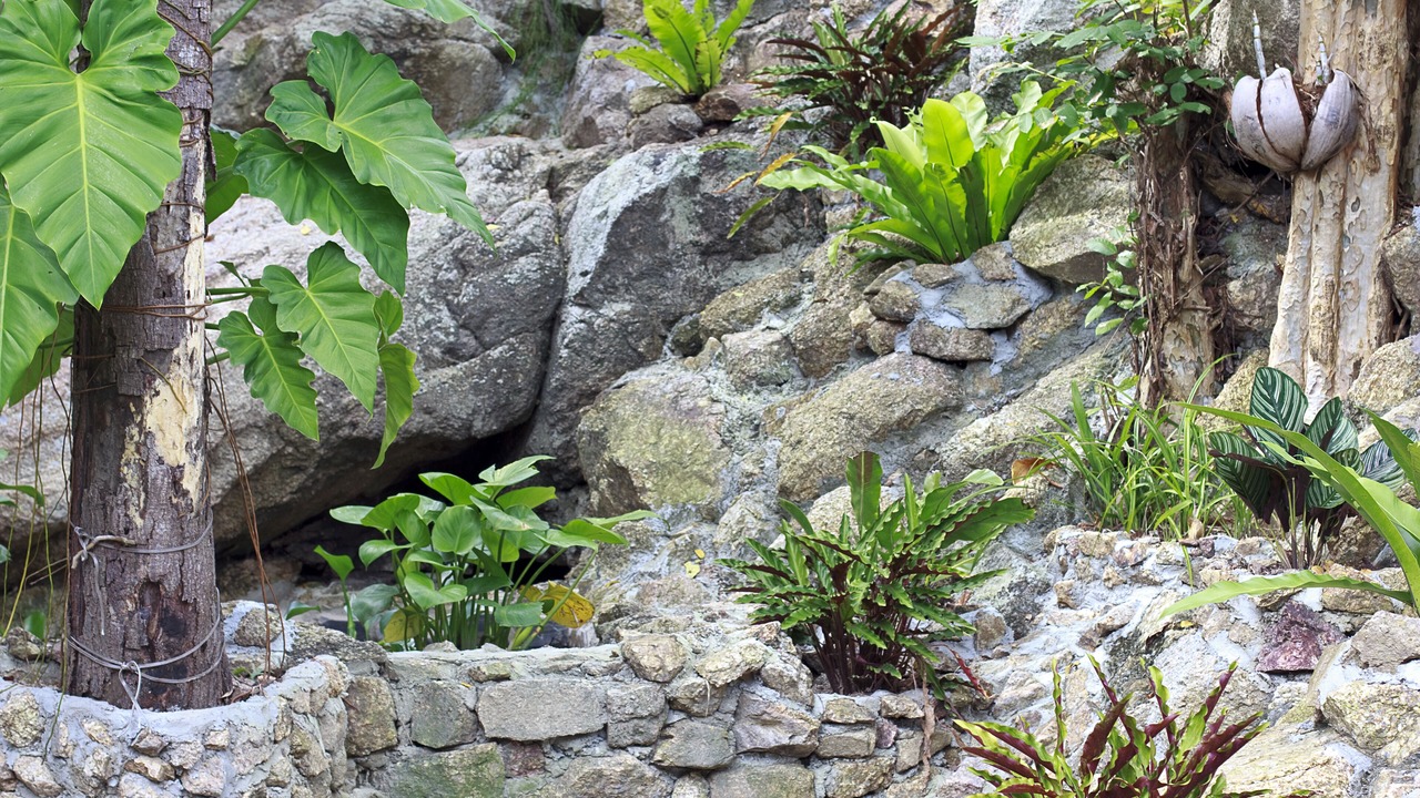 Photo of Outdoor in Baan Tai
