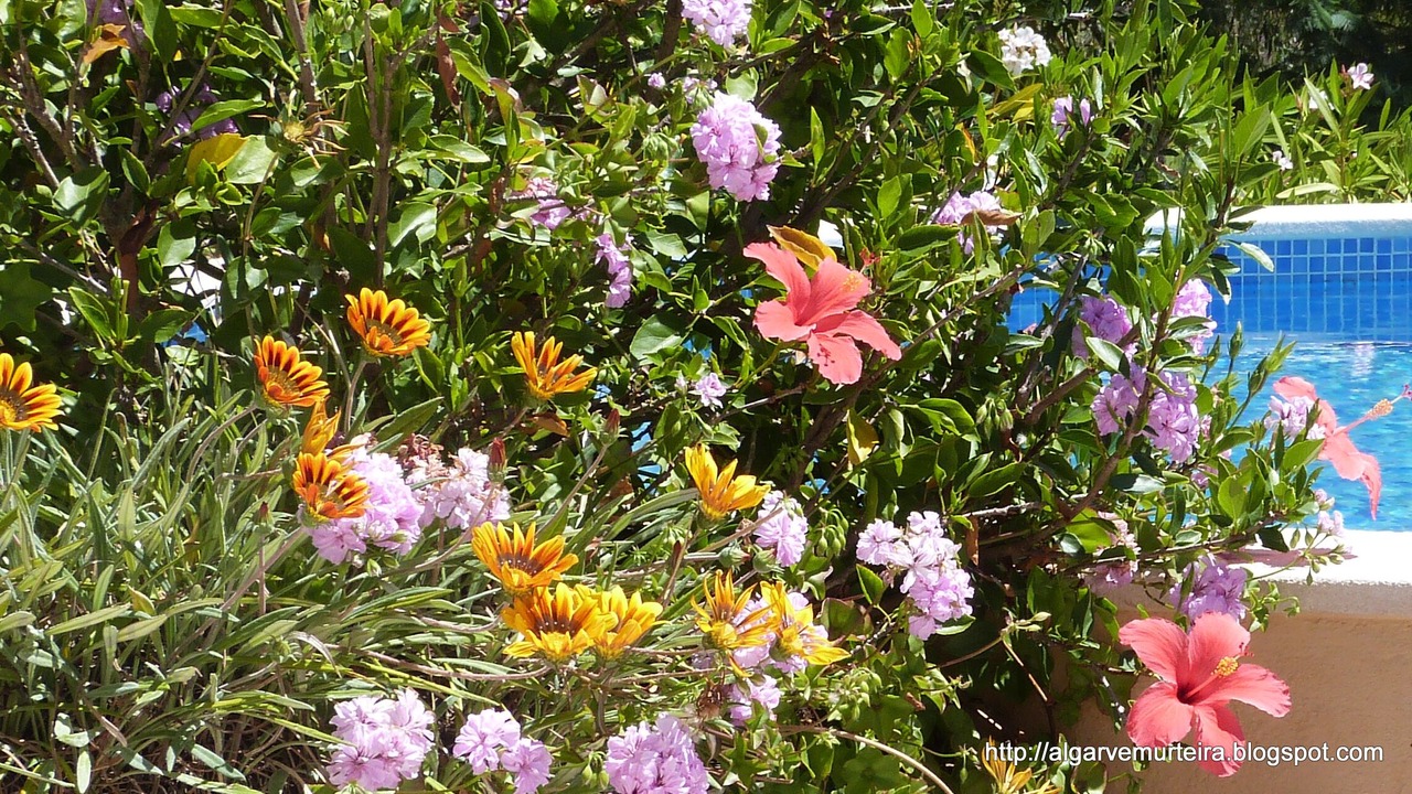 Photo of Outdoor in Fonte do Bispo