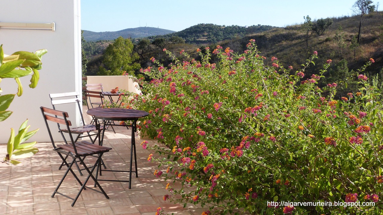 Photo of Outdoor in Fonte do Bispo
