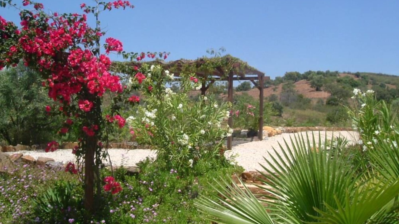 Photo of Outdoor in Fonte do Bispo