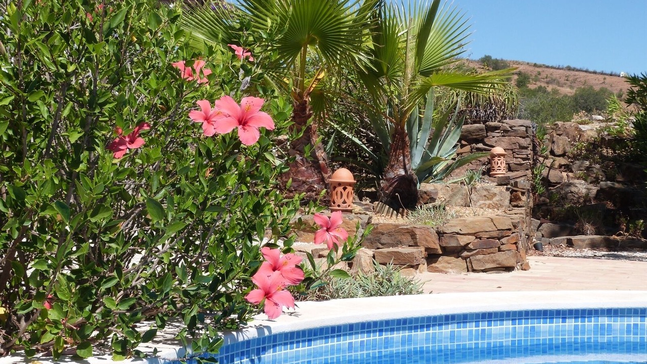Photo of Outdoor in Fonte do Bispo