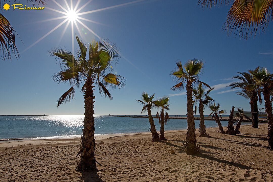 Photo of Others in Praia da Rocha