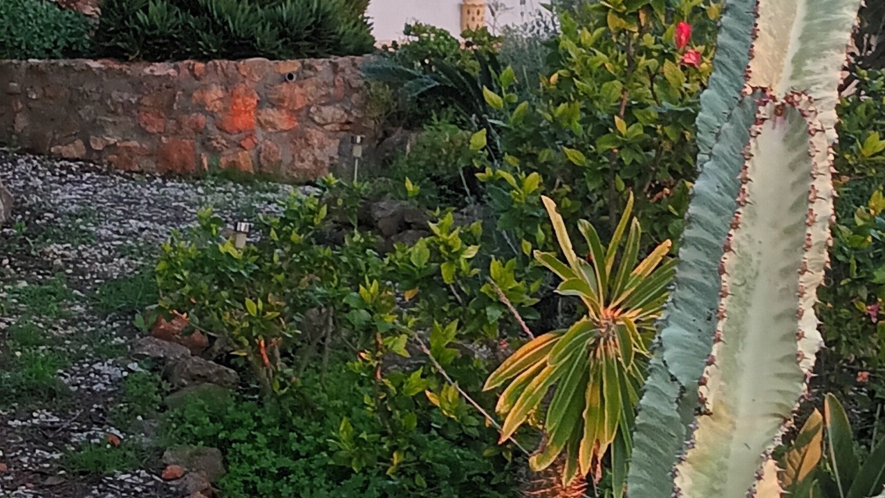 Photo of Outdoor in Silves