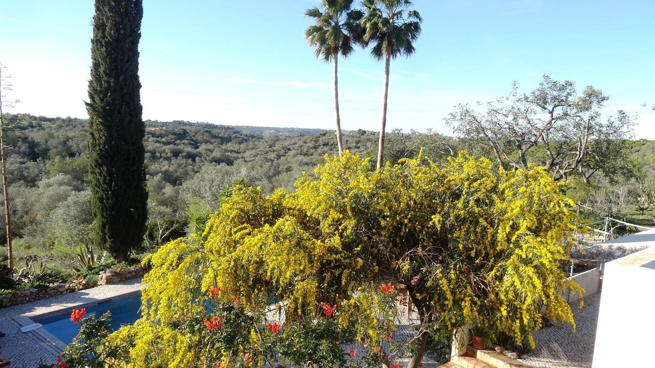 Photo of Outdoor in Silves