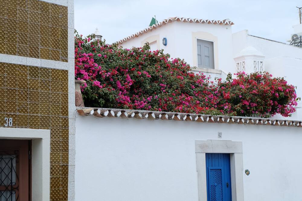 Photo of Others in Santa Luzia