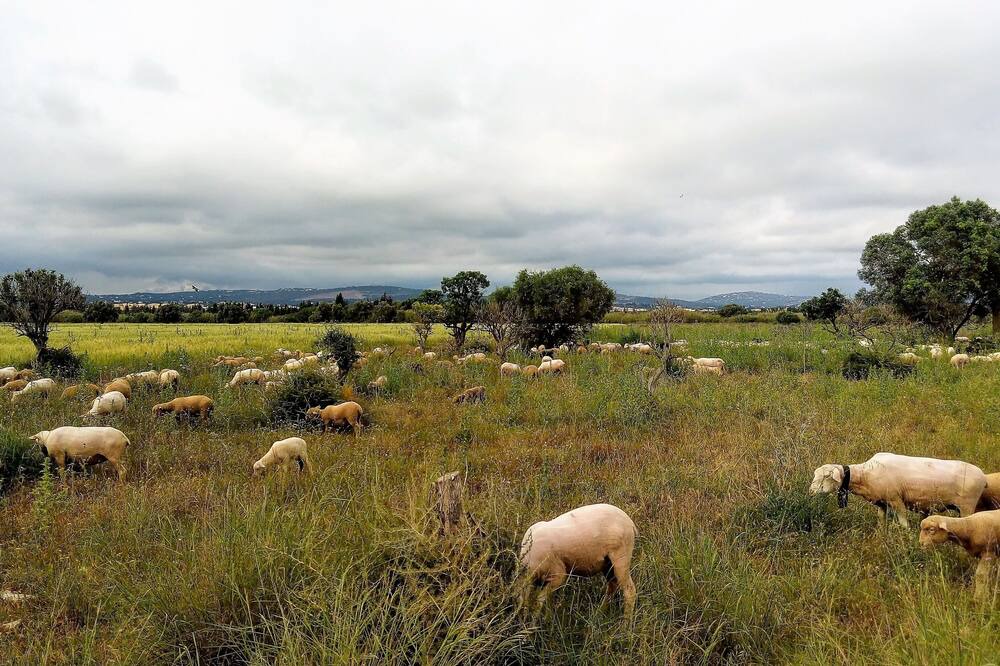 Photo of Outdoor in Alfa-Mar