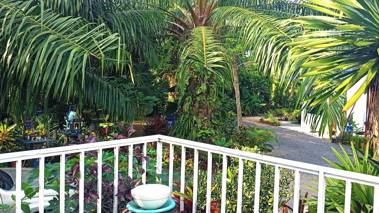 Photo of Outdoor in Phangnga