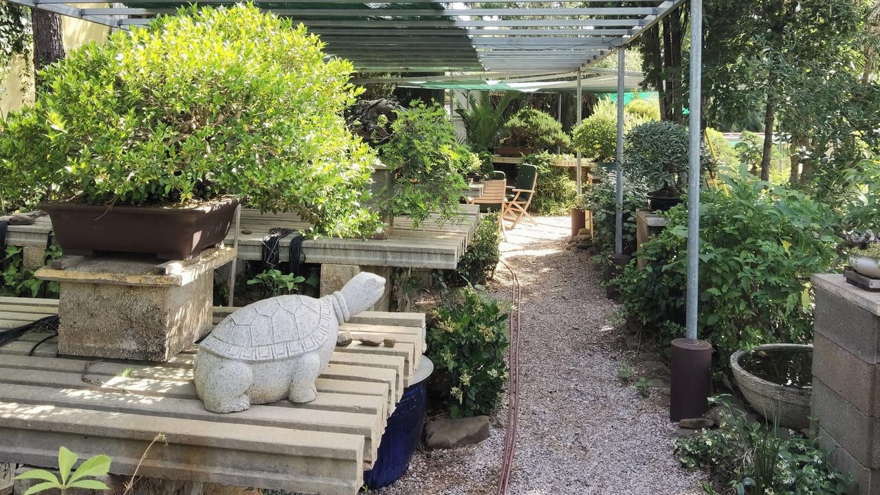 Photo of Outdoor in Tavira