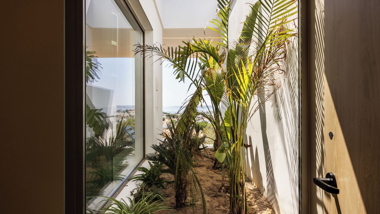Photo of Outdoor in Castelo
