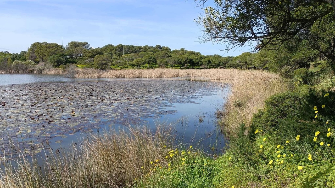 Photo of Outdoor in Sao Bartolomeu