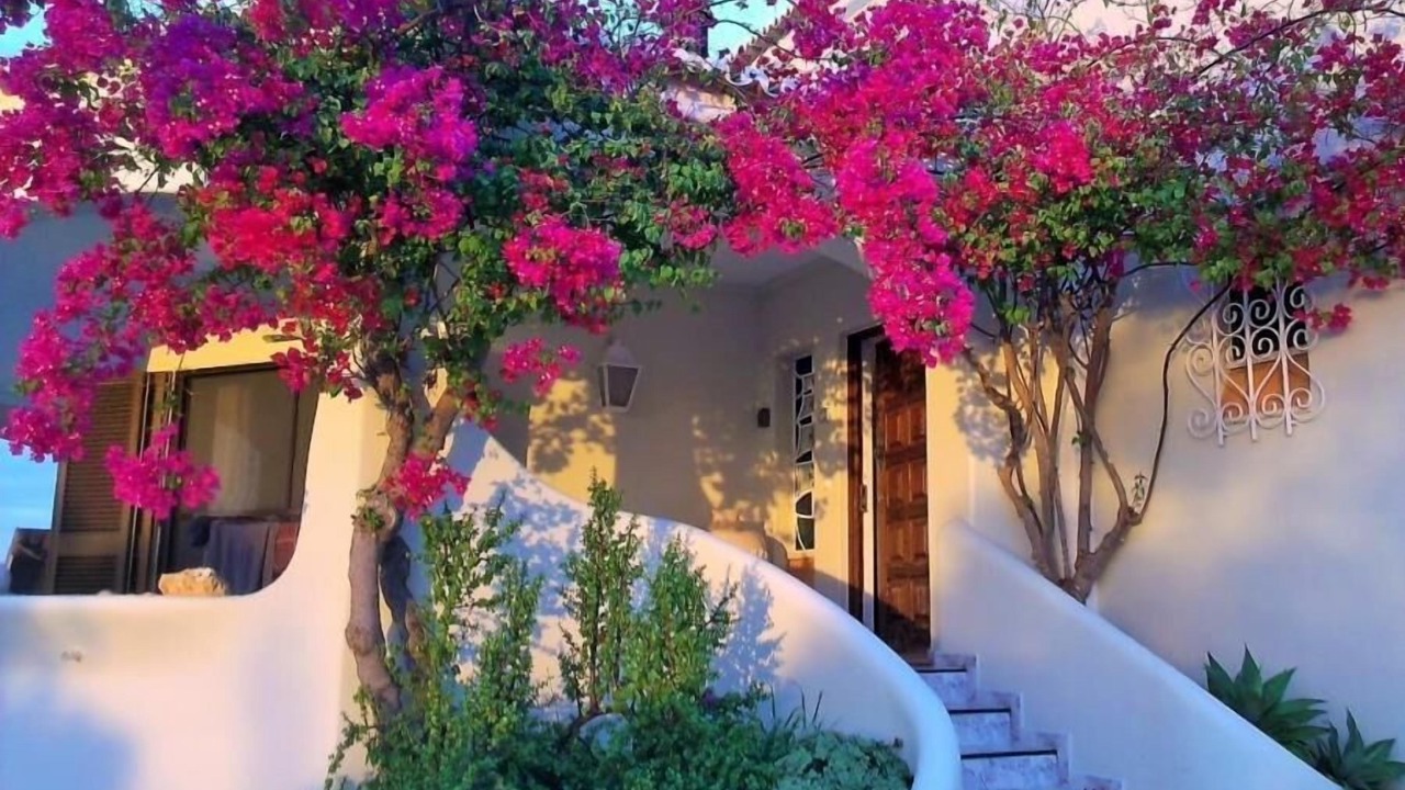 Photo of Outdoor in Caramujeira