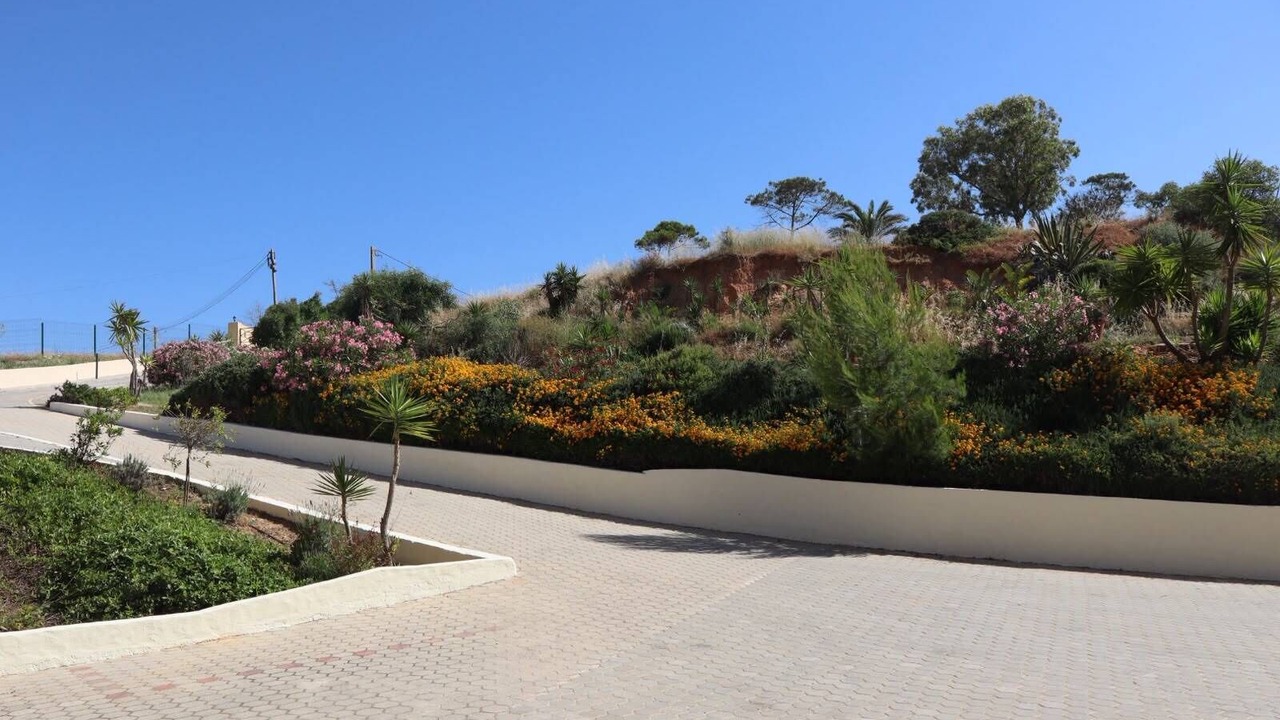 Photo of Outdoor in Prainha