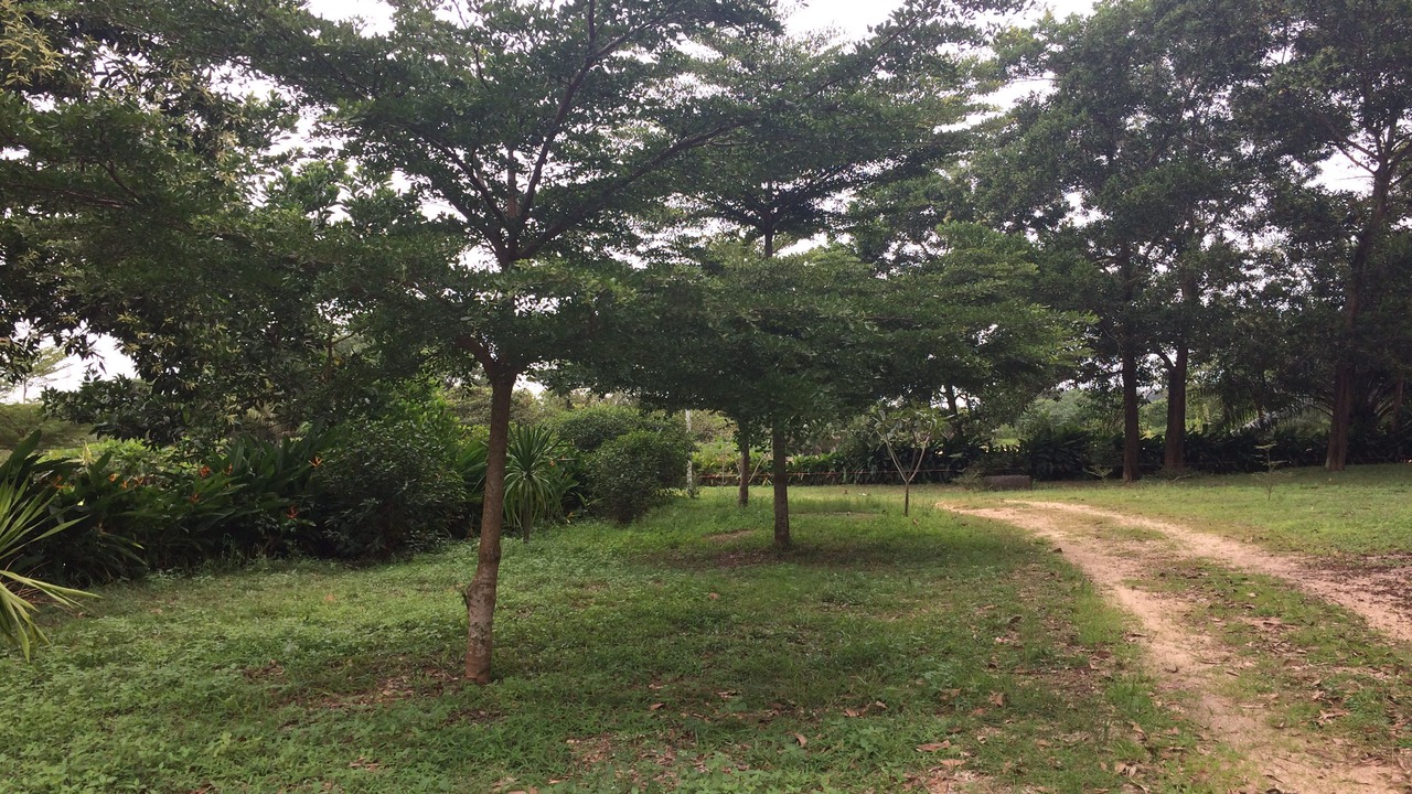 Photo of Outdoor in Takua Pa