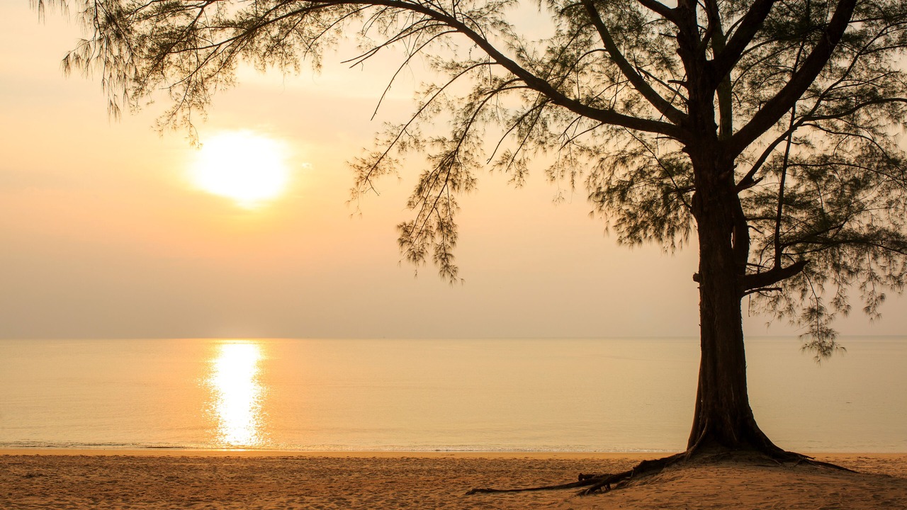 Photo of Others in Khao Lak