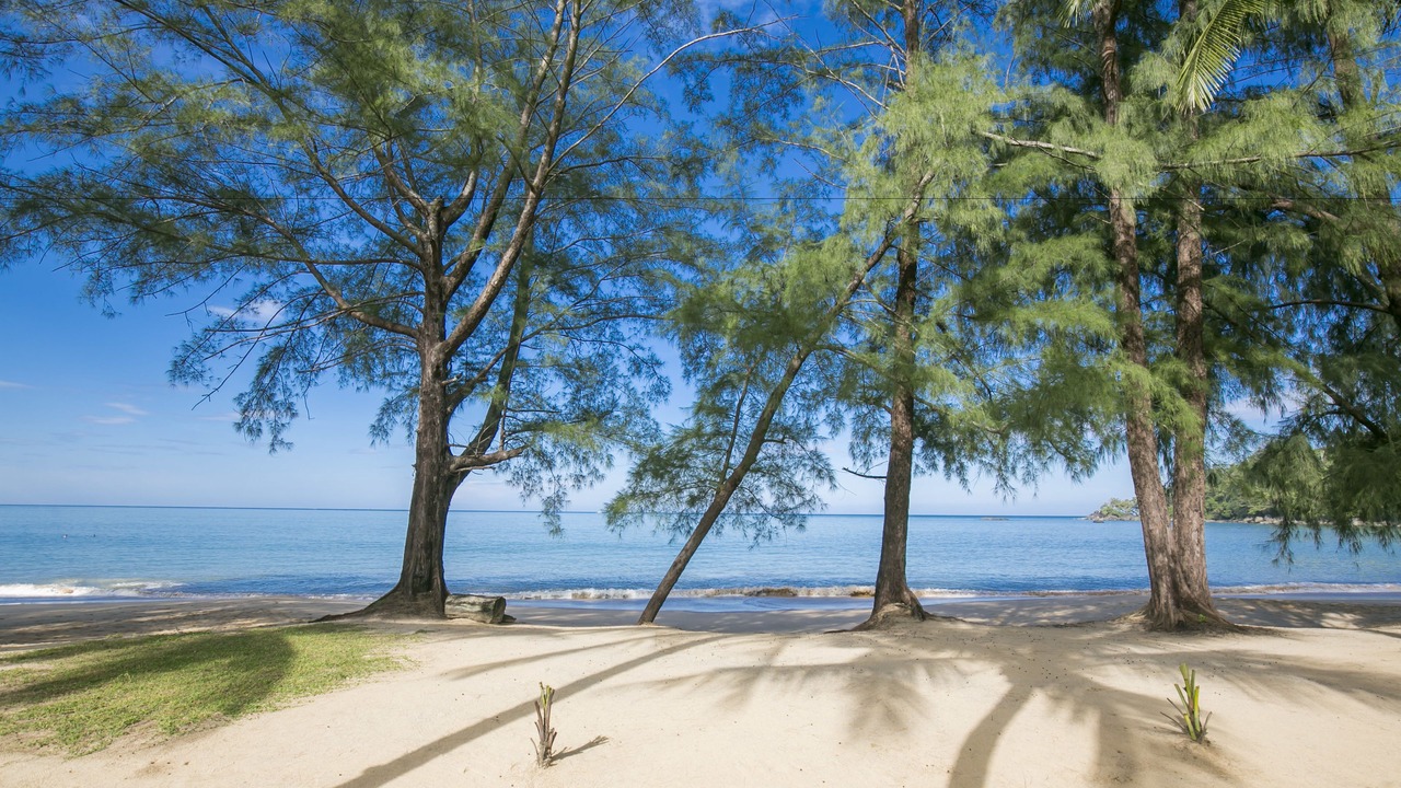 Photo of Outdoor in Khao Lak
