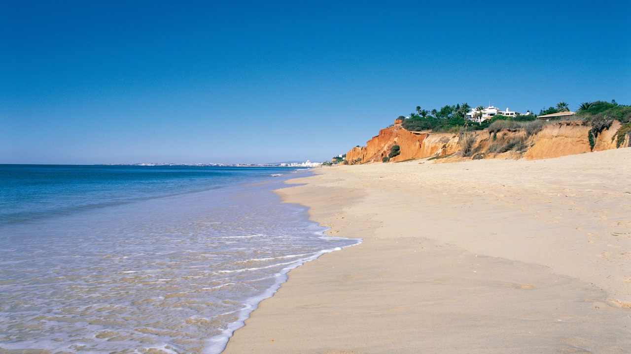 Photo of Others in Vale do Lobo