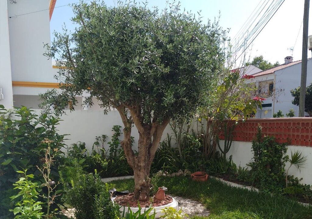 Photo of Outdoor in Vila Nova de Santo Andre