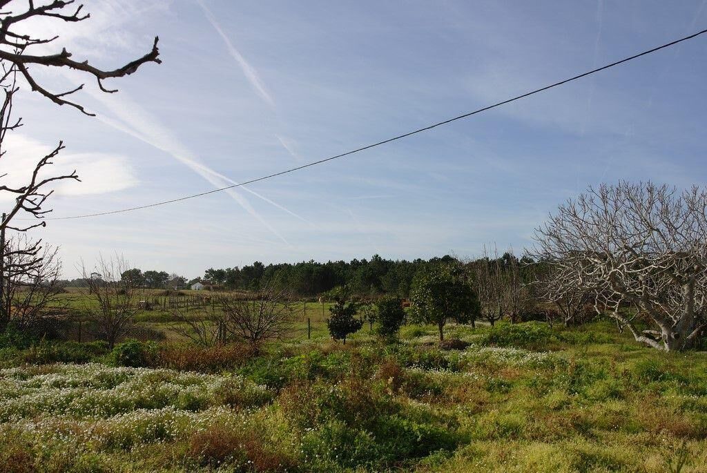 Photo of Outdoor in Cabeco de Aguia