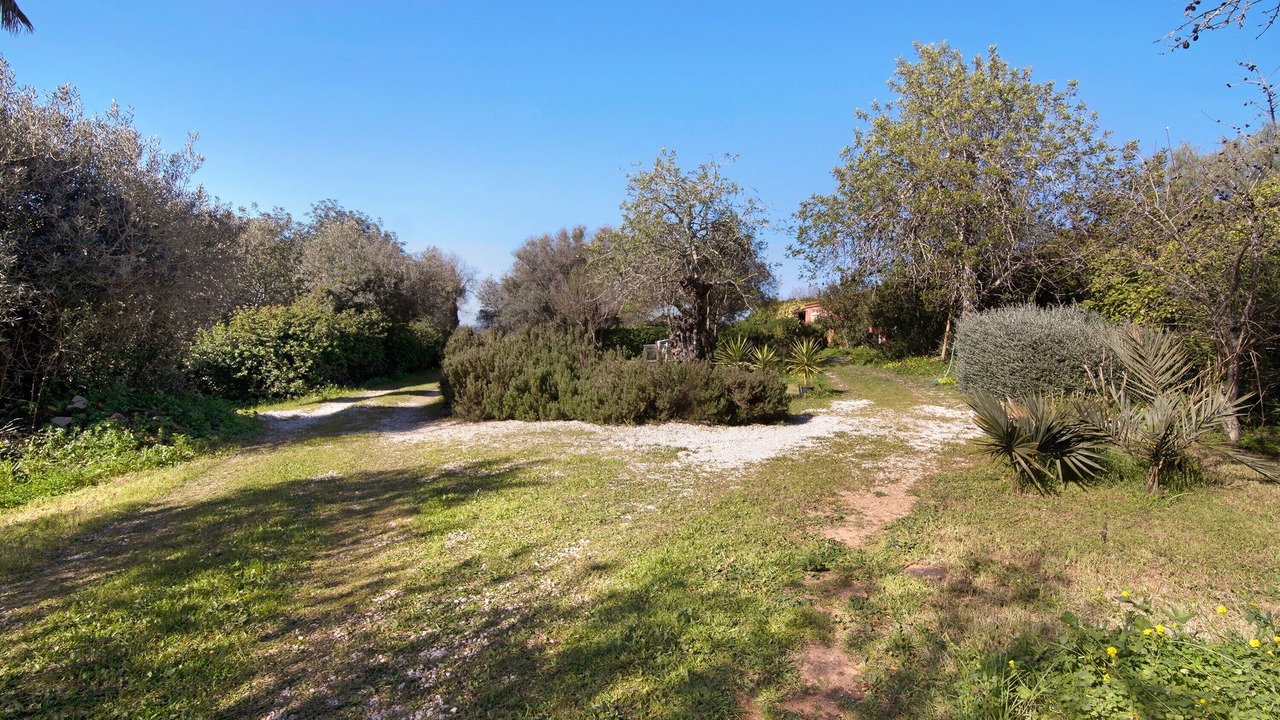 Photo of Outdoor in Messines de Baixo
