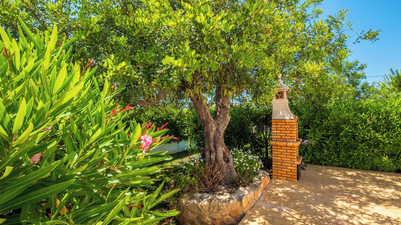 Photo of Outdoor in Cerro de Aguia