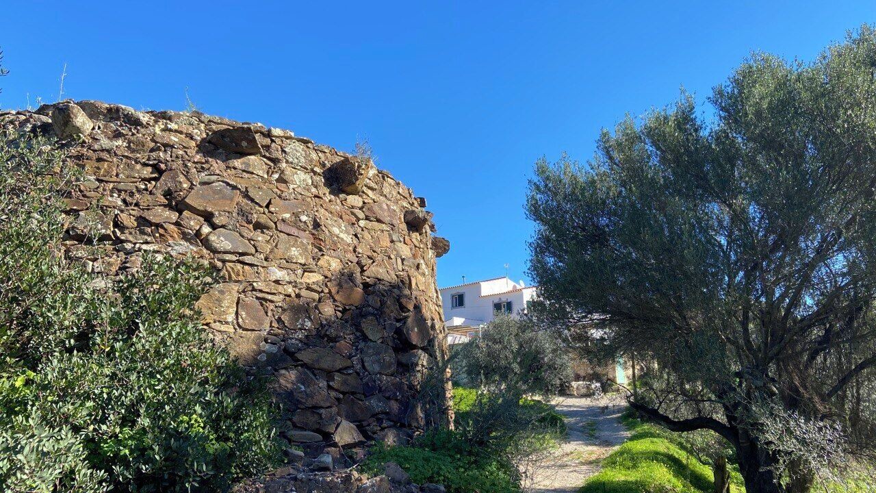 Photo of Others in Fonte do Bispo