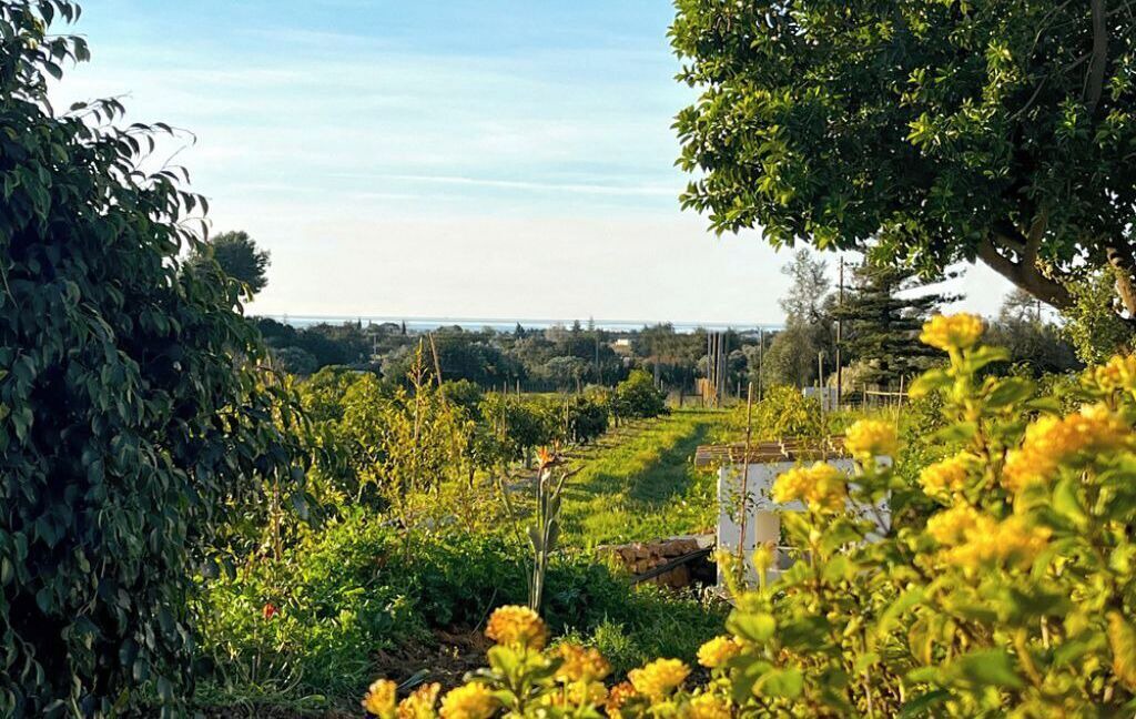 Photo of Outdoor in Vila Nova De Cacela