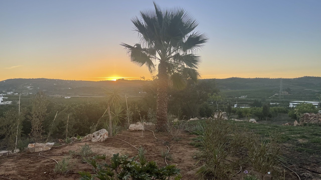 Photo of Outdoor in Silves