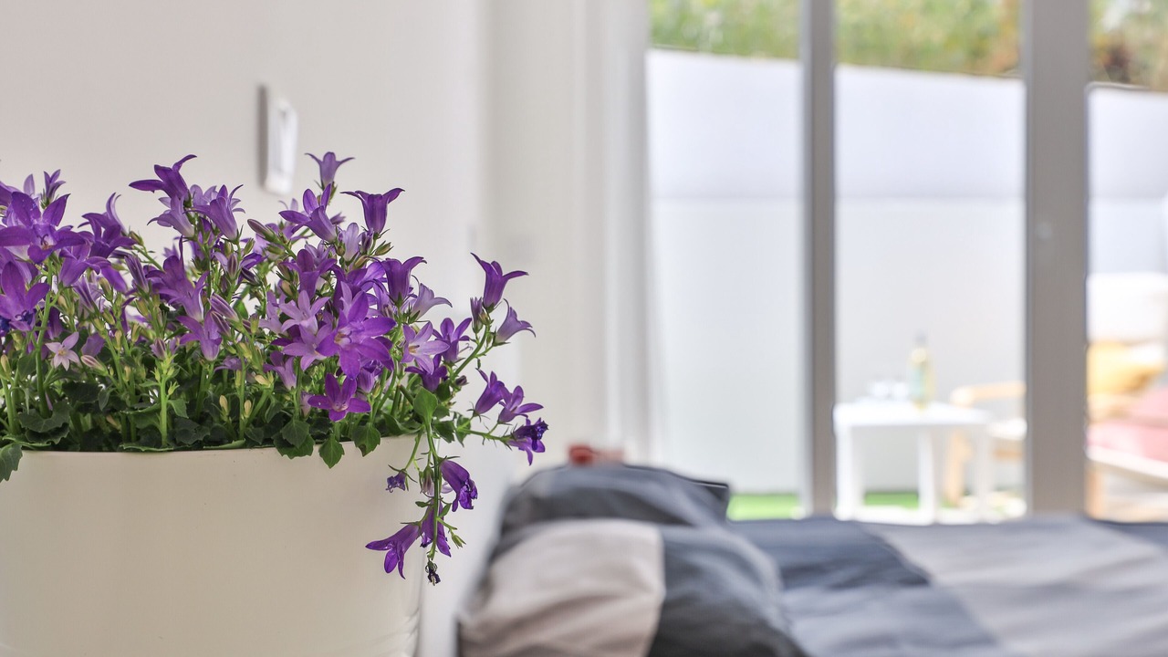 Photo of Bedroom in Alfa-Mar