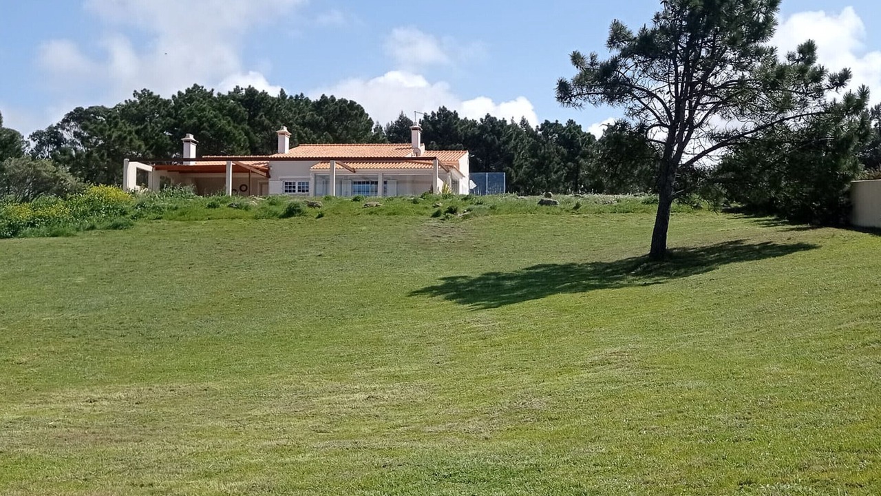 Photo of Others in Ericeira