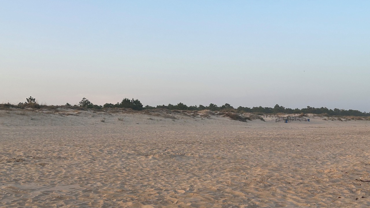 Photo of Others in Retur