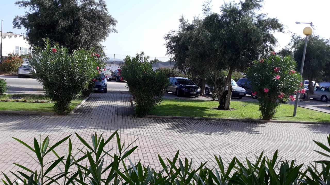 Photo of Outdoor in Alfa-Mar