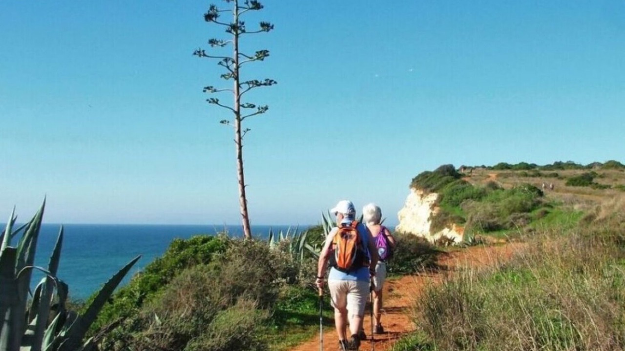 Photo of Others in Praia da Rocha
