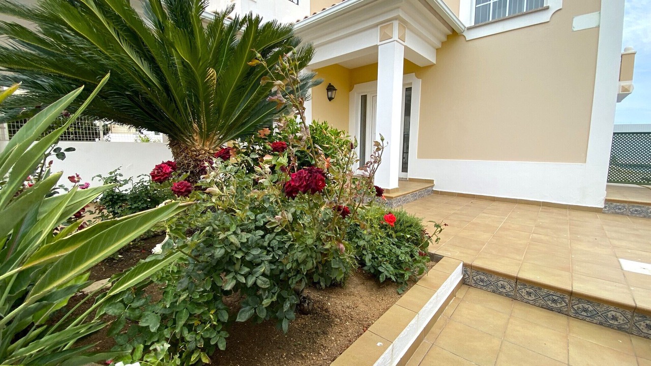 Photo of Outdoor in Pera