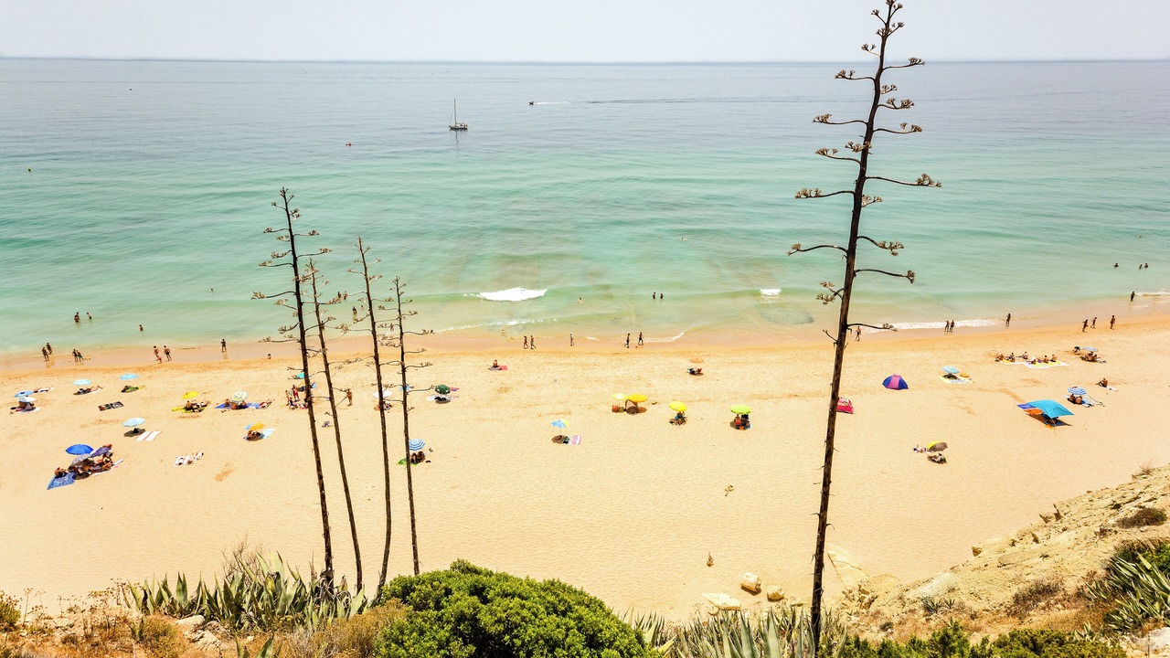 Photo of Others in Praia da Luz